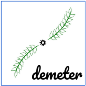 A black star sits at the center of a large blue box. Spiraling out of the stars are two mirrored green wheat stalks, which are meant to invoke the path of electrons away from a decay site. The leaves are meant to evoke scintillation light coming off the tracks of the neutrons. The word 'demeter' is written in loopy font in all lower-case in the lower right corner of the box. 
